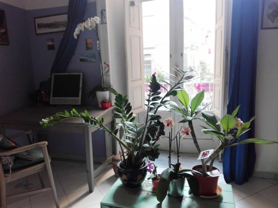 נאפולי Joyfull Home In The Historical Center מראה חיצוני תמונה